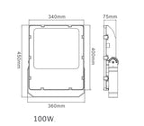 100w LED Floodlight 2022 Style 12-24v DC 9000000902